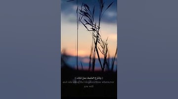 تلاوة خاشعة لا توصف 😴🎧 | حمزة بو ديب | حالات واتس
