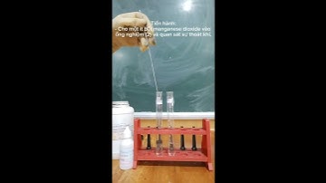 Thí nghiệm ảnh hưởng của chất xúc tác đến tốc độ phản ứng.