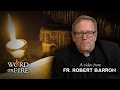 Bishop Barron on "Dumbed Down" Catholicism