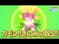 ポケモンスリープ 今きのみの数Sを引かないでいつ引くんだ きのみの数Sスーパーお祈りリサーチ ポケモンスリープ 今きのみの数Sを引かないでいつ引くんだ きのみの数Sスーパーお祈りリサーチ
