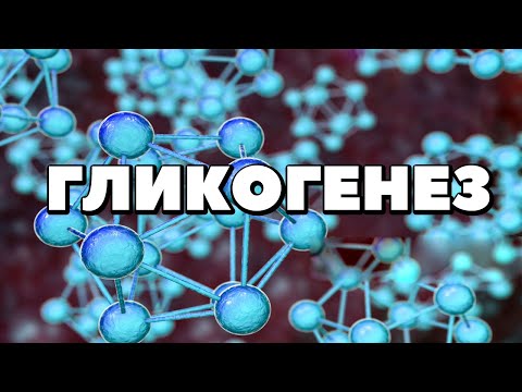 Биохимия.Гликогенез.Синтез гликогена.