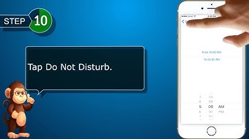 How to Set Up and Use Do Not Disturb Mode  on Apple iPhone  phones user guide support