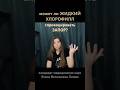 Может ли ЖИДКИЙ ХЛОРОФИЛЛ спровоцировать ЗАПОР? #докторголева