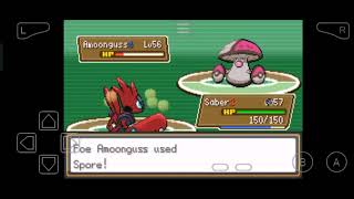 Pokemon Gaia: Elite Four Battle (Nuzlocke Run)