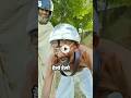 Mahatma Gandhi on comedy video 😅😁 |Instagram Funny Comments | | #short #funny #instacomments
