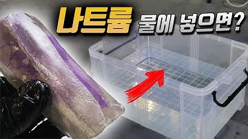 물에 나트륨을 넣으면 어떻게 될까? (절대 따라하지 마세요)