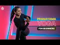 Pranayama Yoga For Beginners | Yoga Routine | Yoga At Home | Yoga Routine For Beginners | Cult Fit