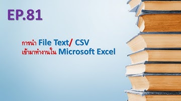 การนำ File Text/ CSV เข้ามาทำงานใน Microsoft Excel