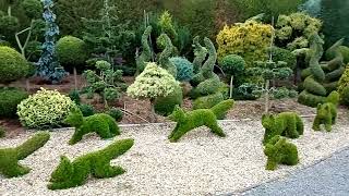 : Topiary from spiral trees to foxes.rabbits to horse&jockey