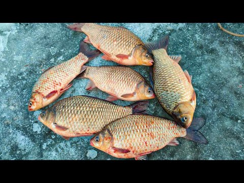 СЕРДЦЕ ЗАМИРАЕТ КОГДА ОНИ ПОДЫМАЮТ КИВОК! Ловля карася зимой. Зимняя рыбалка 2023