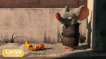 Can | Animation Compilation | Larva Tuba | Official