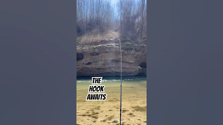 Ever wondered what’s lurking beneath the surface?#fishing #river #nature #views