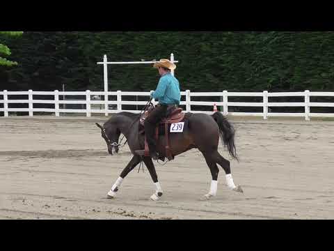 Region 5 Class 582 Arabian Reining