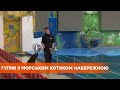 Издевательство или развлечение: в Одессе работник дельфинария выгуливал набережной морского котика