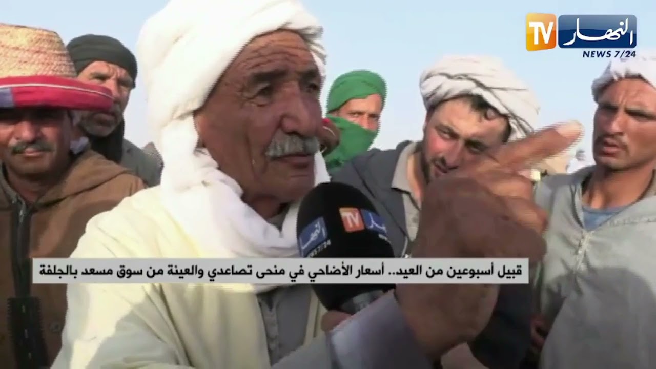 الجلفة: أسعار الأضاحي بداية من 3 ملايين  والموال لا يزال يشتكي من غلاء العلف