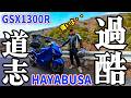【ハヤブサツーリング】都内横断が過酷!?道志ダムを越えて森を抜ける日帰りツーリング