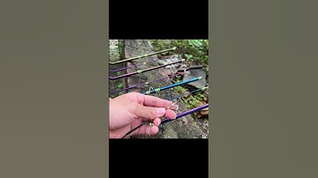 Cần Câu Lure 2 Khúc CARBON TITAN ( DAIWA ) TOÀN THÂN - CL2K025