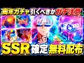 SSR確定無料配布!2.5周年五条虎杖ガチャ引くべきか⁉︎伏黒釘崎、ぶっ壊れ復刻ガチ注意【ファンパレ】【呪術廻戦ファントムパレード】