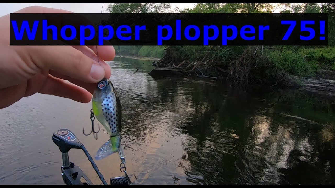 Whopper plopper 75, Suwannee River fishing! Gmoneystrong Outdoors Online Tournament