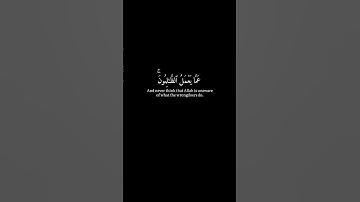 [و لا تحسبن الله غافلاً عما يعملُ الظالمون] كرومات قرآن شاشة سوداء - عبدالرحمن مسعد - سورة ابراهيم