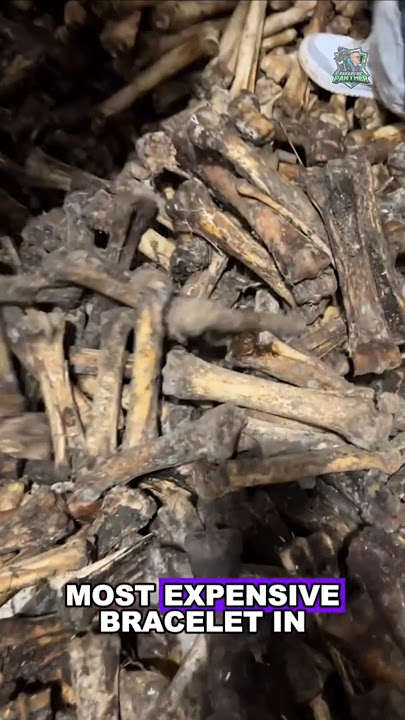Did you know the most Expensive Bracelet is Made of Bone? #bonebracelet