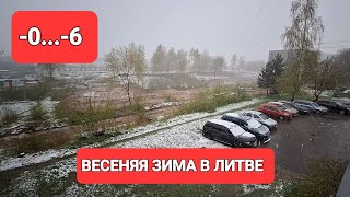 22 апреля 2024 г.[Жизнь в Литве] Сварила суп из щавеля/Весенние покупки