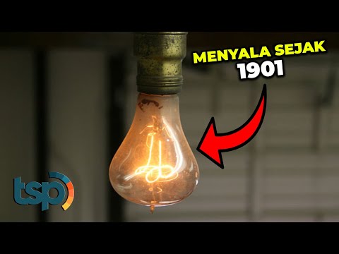Video: Apa bola lampu yang paling lama menyala?