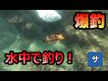 水中で釣りをして食べる動画【ペットボトル魚釣り】海中静岡伊豆下田フィッシングルアー餌エサ簡単仕掛け素潜りダイビングシュノーケルスノーケルスポーツ遊びレジャーオニカサゴ根魚