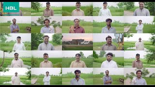 HBL Development Finance