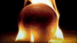 How To Make Fire Using Only A Orange How To Make Fire Using Only A Orange