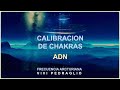 CALIBRACION DE CHAKRAS 🧬 ADN 👽 Frecuencia Arcturiana | @Vivi Pedraglio
