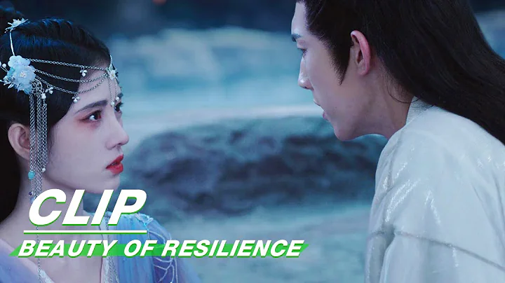 The father Wants to Kill Wei Zhi and Yan Yue | Beauty of Resilience EP29 | 花戎 | iQIYI