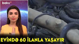 Evində 60 Ilanla Yaşayır - Maraqlı Anlar Baku Tv