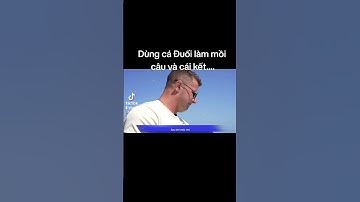 Dùng cá Đuối làm mồi câu và cái kết... (P2)