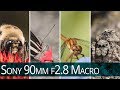 Sony G 90mm Macro f2.8 - Long Term Lens Review