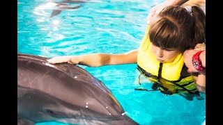 Dolphin Assisted Therapy, Autism & Pseudoscience