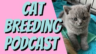 The THREE GIFTS of Rehoming Breeding Cats by Cat Breeding for Beginners 328 views 6 months ago 8 minutes, 26 seconds