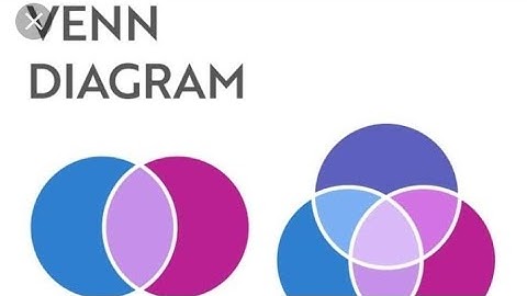 B.com V sem Employability skills in commerce unit 5 venn daigram