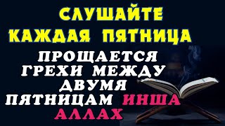 Сура Аль Кахф Слушайте Каждая Пятница