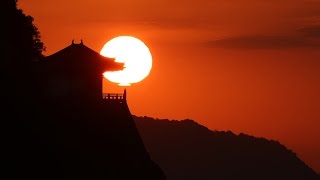 探訪　母子見守る海の観音　広島・磐台寺