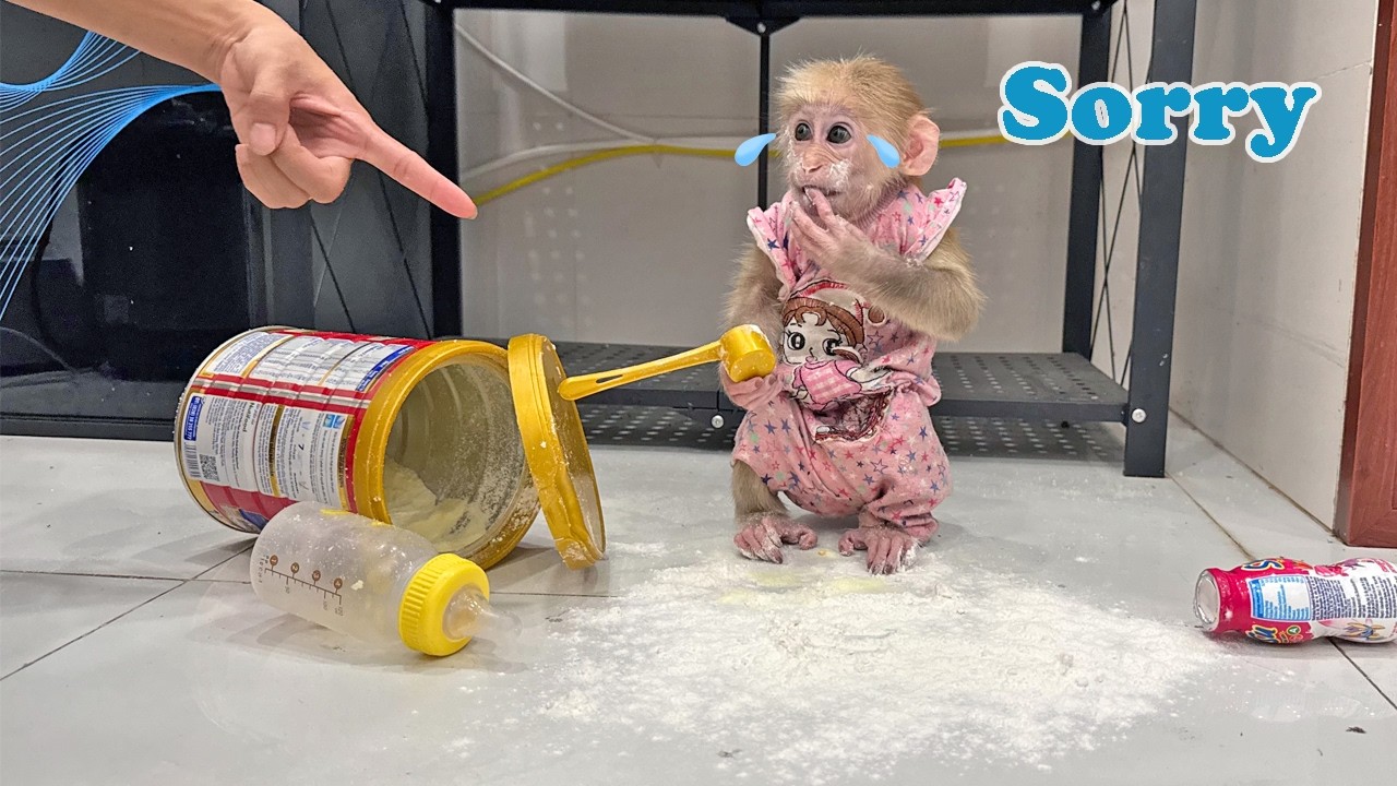 Забавная ситуация: Лаки проливает молоко из пакета, и мама в шоке!