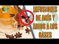 Elimina gases y dolor de estomago de forma inmediata con un ingrediente