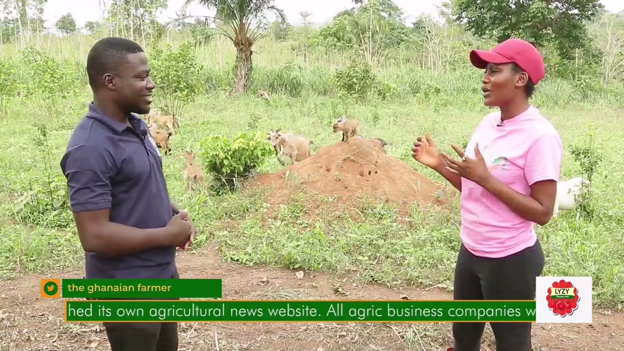 Является ли разведение коз хорошей инвестицией в агробизнес для начинающих предпринимателей в Ган...