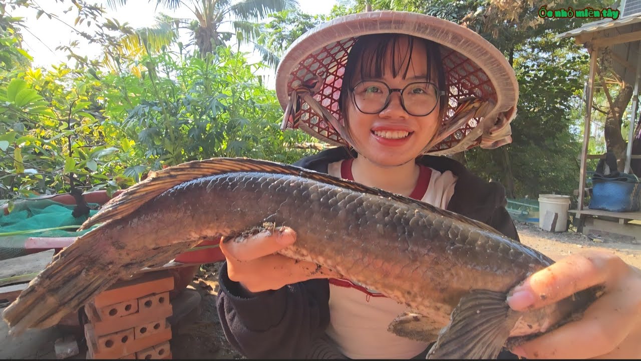 Với Gần 3Kg Cá Lóc Đồng_Chị Em Cùng Nấu NỒI BÚN CÁ Đặc Sản Quê Hương An Giang...| ONMT #Tập 188