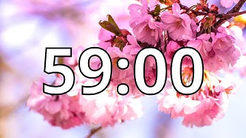 59 Minutes Timer with Music | Cherry Blossom Timer