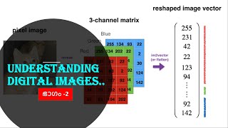 What Is A Digital Image|Understanding Images|Computer Vision|Malayalam