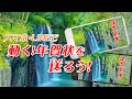 動く！年賀状を送ろう！｜2026年元旦｜『高千穂峡』