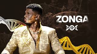 GALLY - ZONGA (VISUALIZER VIDEO)