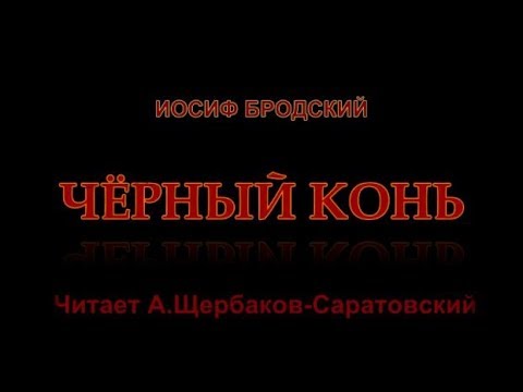 В тот вечер возле нашего огня. Черный конь Бродский.