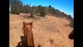 LACEANDO EN EL CERRO 195 ... HOMBRE DE CAMPO CHILENO